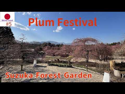 【Plum Festival】 Introduction to Suzuka Forest Garden located in Suzuka City, Mie Prefecture