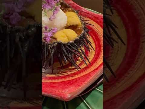 This sea urchin is so fresh that you don't realize it's no longer alive.