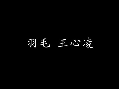 羽毛 王心凌 (歌词版)