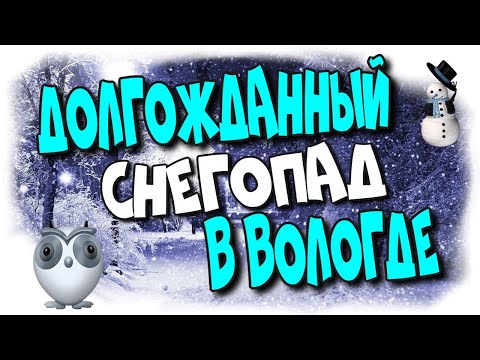 😄Долгожданный ❄️снегопад в Вологде/Long-awaited ❄️snowfall in Vologda♻️ [Olga Pak]