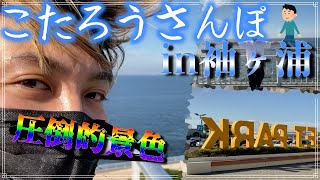 【まるで海外旅行!?】千葉の素敵なさんぽみち【こたろうさんぽ】