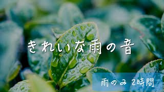 【超高音質・立体音響】きれいな雨の音（ほぼ他の音無し2時間Ver.）！読書 睡眠 瞑想用bgm