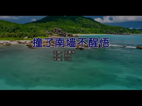 撞了南墙不醒悟-王爱华-主唱 KARAOKE