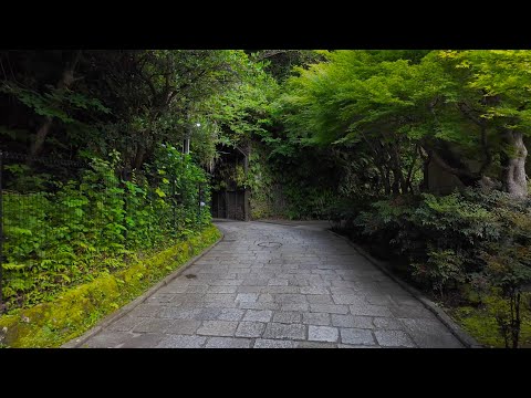 Visiting shrines in beautiful villages. Early morning stroll through Kamakura【4K Japan】