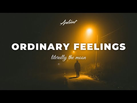 literally the moon - ordinary feelings [ambient chill atmospheric]