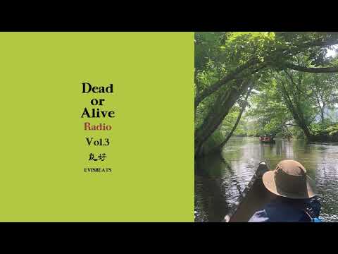 Dead or Alive Radio : EVISBEATS Vol.3 良好