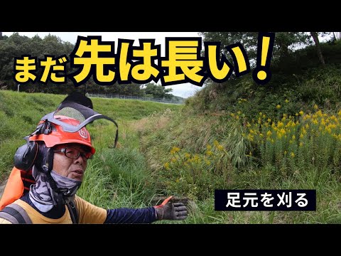 水路沿いの足元がジャングルの草刈り