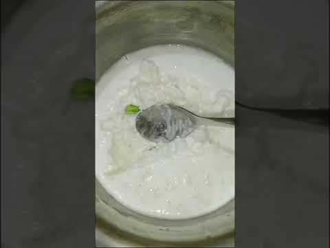 Overnight Fermented Rice Recipe || Chaddannam Recipe #foodie #viralvideo #cookingvideo #subscribe