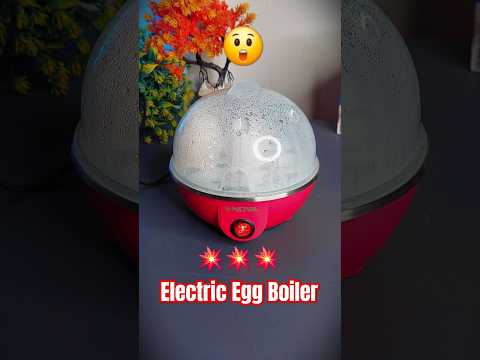 Electric Egg Boiler  🔥 | Electric Egg Cooker #shorts