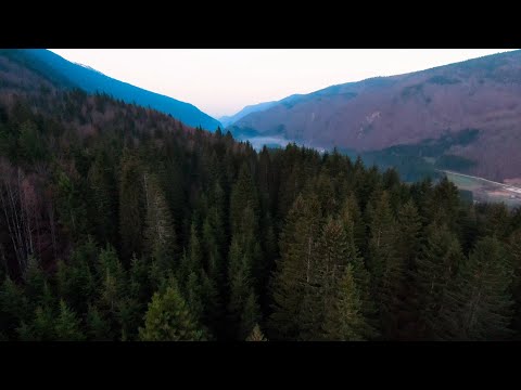 10FpvFly - Dji Fpv