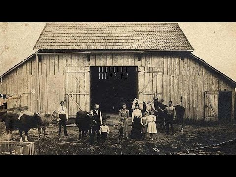 This old barn.