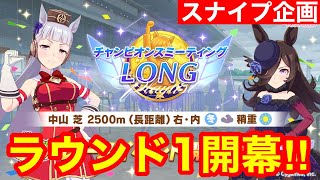 【ウマ娘】最強が集うスナイプ企画でガチ20連勝をキメる！！→今日こそチャンミ阪神2400m考察枠！！【チャンピオンズミーティング有馬記念】