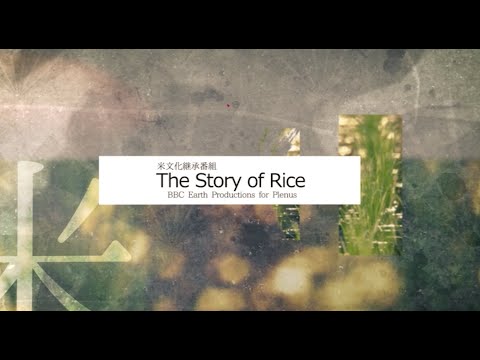 米文化継承番組「The Story of Rice」ダイジェスト2