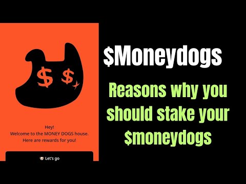 Reasons why you should stake your $moneydogs _ Earn more rewards