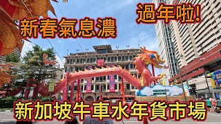 新加坡唐人街牛车水新春年货市场CHINATOWN CHINESE NEW YEAR STREET MARKET