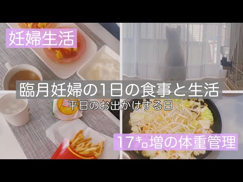 【臨月妊婦の1日の食事】体重管理のために少しだけ食事を減らした…はず😶