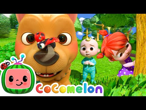 Bingo Runs away! | Where Has My Little Dog Gone? | CoComelon Kids Songs & Nursery Rhymes