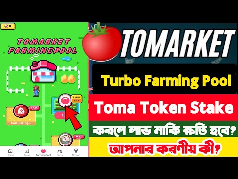 Toma Token Stake করেছেন করণীয় কী |Tomarket Turbo Farming Pool | Tomarket New Update Today