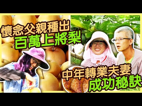 【宜蘭三星】延續阿爸的有機理念 廖俊欽種出有機上將梨|有機無毒 |美麗心台灣(429) ｜｜#美麗心台灣