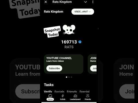 Rats Kingdom Snapshot Today,10 December Snapshot 1 Rats kingdom,Join Now Airdrop