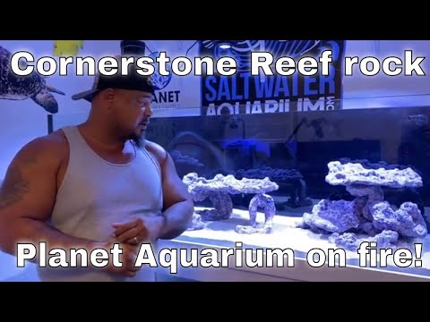 How to Aquascape new marine aquarium using Cornerstone Reef rock