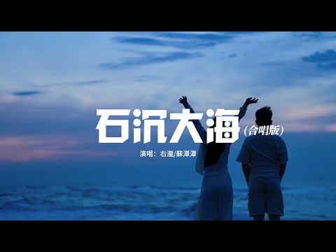 右瀧/蘇潭潭 - 石沉大海(合唱版)『可惜我後來才明白 有些人已不再，錯過了的人早已離開，等到花兒盛開 等到愛石沉大海。』【動態歌詞MV】