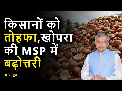 कैबिनेट ने खोपरा के लिए ₹12,100 प्रति क्विंटल MSP को दी मंजूरी | Milling and Ball Copra  | CCEA