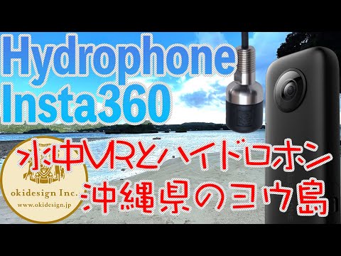 【水中360°VRとハイドロホン】沖縄県恩納村のヨウ島でシュノーケリング