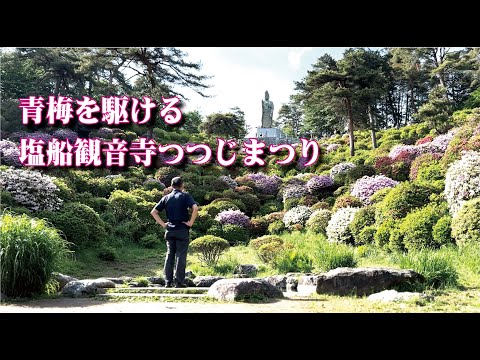 青梅を駆ける職員（その十五・塩船観音寺つつじまつり）