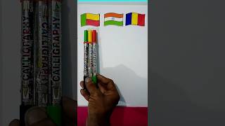 Benin 🇧🇯  Chad 🇷🇴 And Indian 🇮🇳 Flags Warp Scanning | #shorts