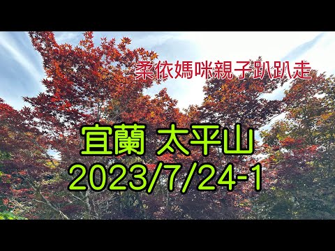 宜蘭  太平山 2023/7/24-1