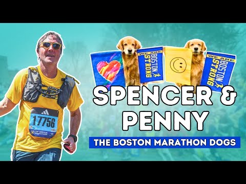 The Late Boston Marathon Dogs; Spencer and Penny