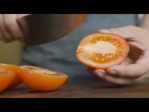 【ASMR】Cooking Tomato Shrimp Spaghetti