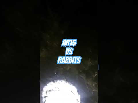 AR15 vs Rabbits! #ozziereviews #ar15 #rabbit #rabbits #hunting #australia #22longrifle #hunt #223