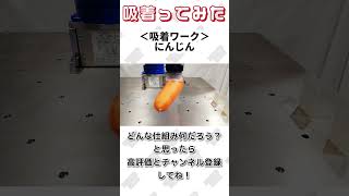 【 真空のチカラで 】にんじん 吸着ってみた【コンバム】