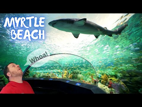 Myrtle Beach 2023 | Broadway At The Beach Attractions