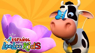 La Vaca Lola - Música Para Niños - Canciones para Bebés - Aprender Español Para Niños