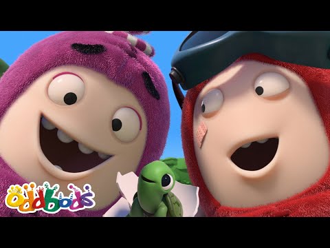 Turtley Cute! | Oddbods Full Episode | Funny Cartoons for Kids