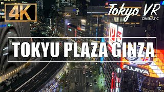 東急プラザ銀座 TOKYU PLAZA GINZA