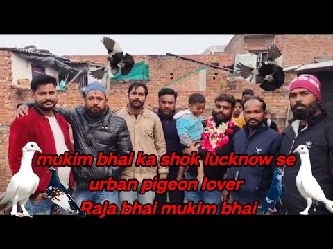 mukim bhai ka shok lucknow se urban pigeon lover raja bhai