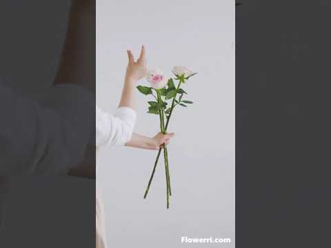 Make A Bouquet Using The Spiral Method