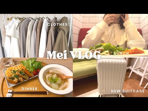 【vlog】アラフォーOLの毎日の食事と時々today's outfit|新しいスーツケース