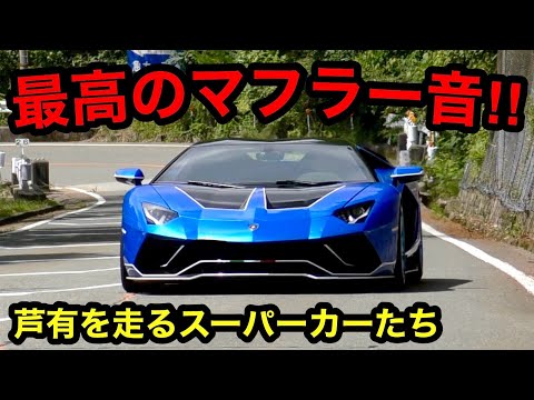 【最高のマフラー音‼️】芦有ドライブウェイを走るスーパーカー‼️　[爆音 スポーツカー エンジン音]