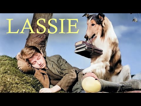 Lassie - The Painted Hills | Family Movie