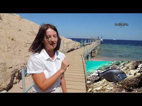 ШАРМ ЭЛЬ ШЕЙХ 2023 AMPHORAS BEACH HOTEL 5* 🌴 АКТУАЛЬНАЯ ИНФОРМАЦИЯ ОТ ПРЕДСТАВИТЕЛЯ ОТЕЛЯ