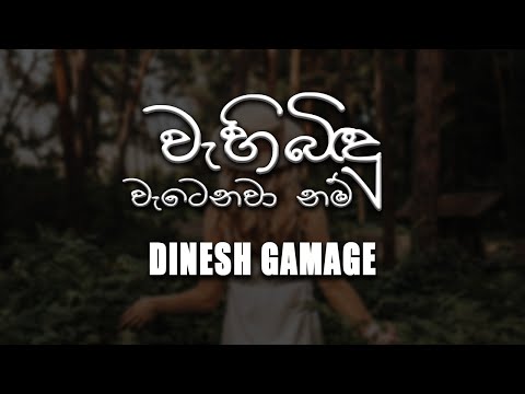 Wahi Bindu Watenawanam (වැහිබිදු වැටෙනවා නම්) - Dinesh Gamage [lyrics video]