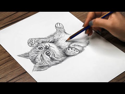 How to Draw a Cute Kitten Step by Step | Baby Cat Sketch for Beginners