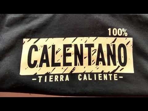 Corrido Estilo Calentano / Efrain Toledo Y Sus Calentanos / ¡¡¡Estreno 2021!!!