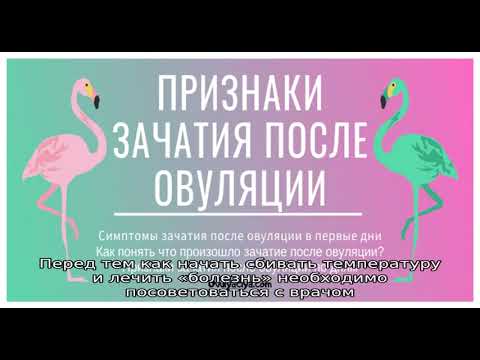 Симптомы цистита как первого признака беременности