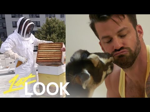 Johnny Bananas is One With Animals | 1st Look TV